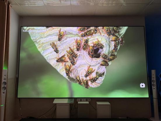 略：千元档到万元档这四款闭眼入不踩坑pg电子游戏网站双十二投影仪选购攻(图4)